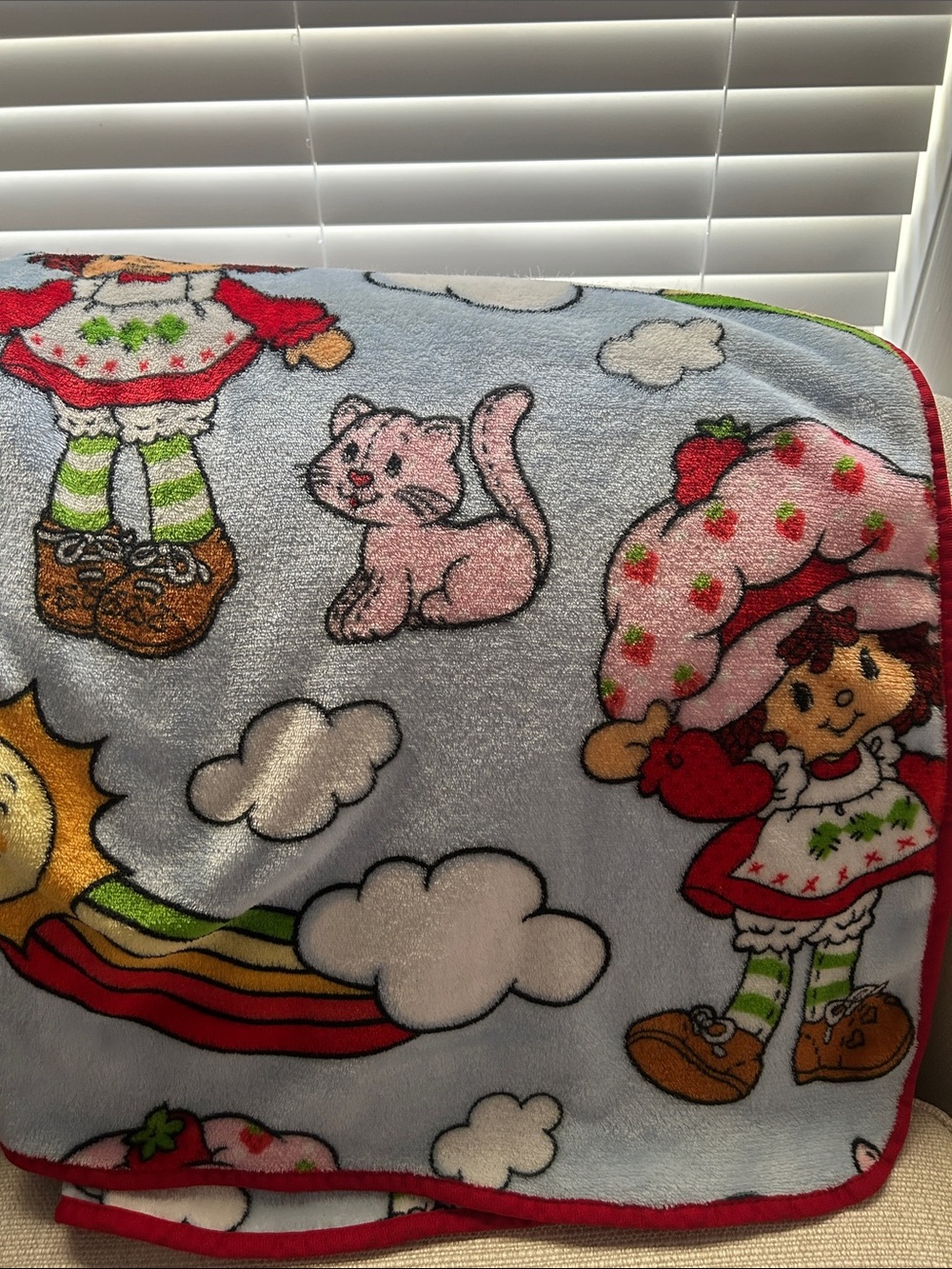 Kids Strawberry Shortcake Blue Plush Throw Blanket